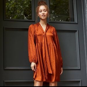 NWT A New Day rust babydoll dress